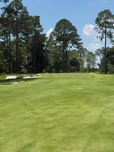 Anson Point Golf