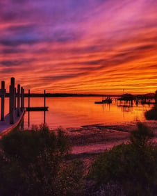 Oyster Factory Park @mp_photographydesign