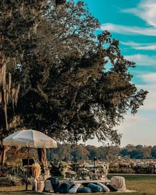 Wright Family Park or Oyster Factory Park - @coastalpicnic_bluffton