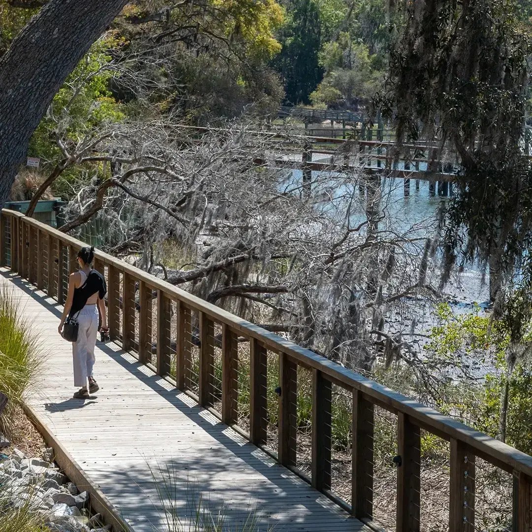 Strolling Bluffton
