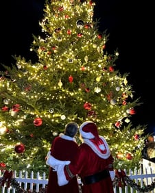 Holiday Lights & Festivities