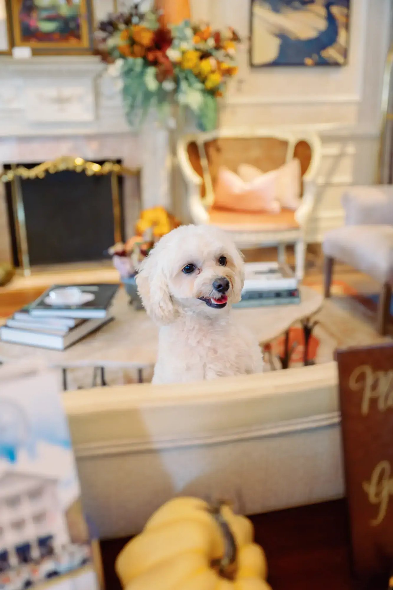 Old Town Bluffton Inn Mascott Camo