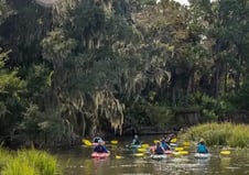 Lowcountry Ultimate Day