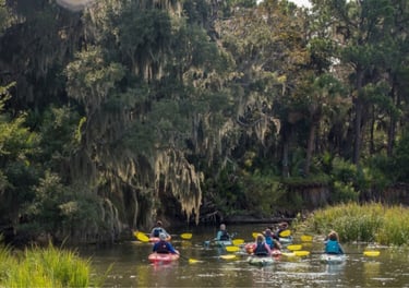 Lowcountry Ultimate Day