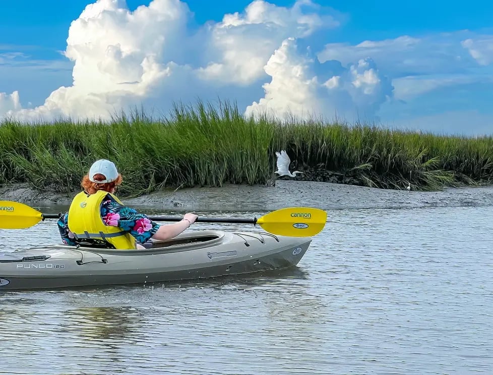 May River Kayak, Nature & History Paddle